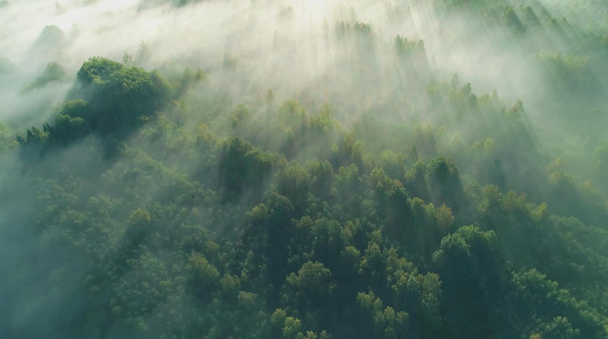 兔宝宝全屋定制宣传片