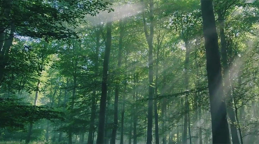 兔宝宝企业宣传片