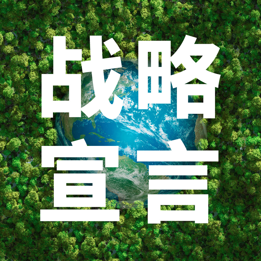 兔宝宝以绿色为笔，绘制低碳蓝图