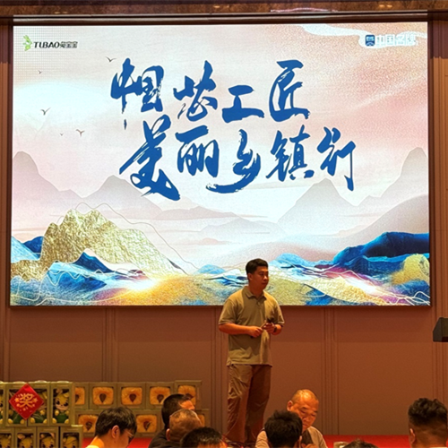 “中国芯工匠·美丽乡镇行”温州站圆满落幕：匠心筑梦，共绘温州乡镇新蓝图