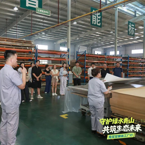 家居大咖为兔宝宝点赞！揭秘绿色发展之路