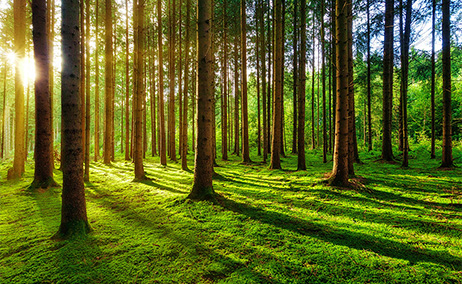 节约资源  绿色环保