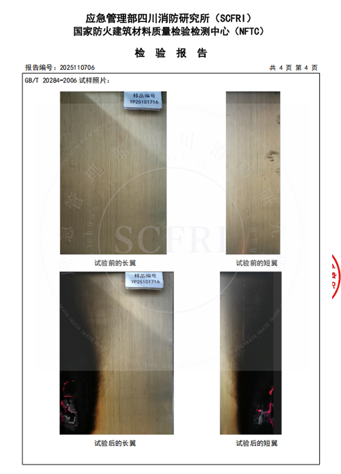 燃烧性能检测报告